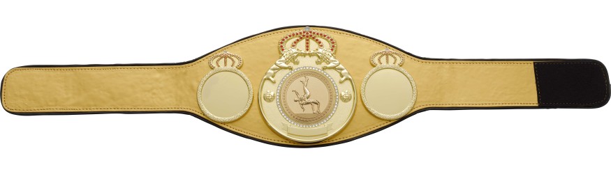 WRESTLING CHAMPIONSHIP BELT PROLION/G/WRESTG - AVAILABLE IN 6+ COLOURS WRESTLING CHAMPIONSHIP BELT PROLION/G/WRESTG - AVAILABLE IN 6+ COLOURS